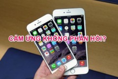 Đ&#227; t&#236;m ra nguy&#234;n nh&#226;n khiến iPhone 6, 6 Plus bị liệt cảm ứng