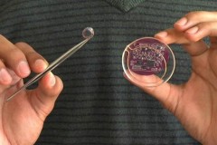 Kính áp tròng "trò chuyện" với smartphone, smartwatch qua wifi