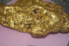 Người đàn ông may mắn vô tình đào được cục vàng siêu lớn nặng 4 kg…