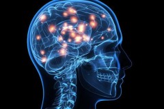 Người thông minh có sóng não khác thường