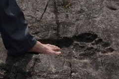 Phát hiện dấu chân người khổng lồ hóa thạch tại miền Tây Trung Quốc