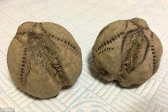 Sự thật phía sau vật thể lạ như quả bóng chày cỡ khủng xuất hiện trên bờ biển