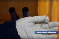 Tìm thấy kim khâu tự chế 50.000 tuổi vẫn dùng tốt