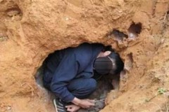 Đào tổ mối gần nhà, bất ngờ tìm thấy ‘mối chúa khổng lồ’