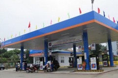 Lộ diện những vi phạm khủng tại Tập đoàn Xăng dầu – Petrolimex