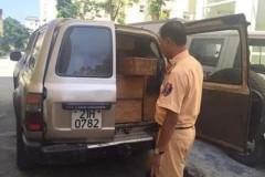 CSGT Hà Nội bắt xế hộp vận chuyển gỗ Pơ mu lậu