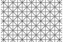 Bạn thấy được bao nhiêu chấm đen cùng lúc trong hình này?