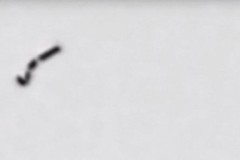 Con cá kim loại kích thước nano, chở thuốc bơi trong máu tới vị trí cần thiết trong cơ thể