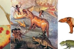 Đã tìm thấy máu và DNA khủng long! Thách thức mới cho thuyết tiến hóa