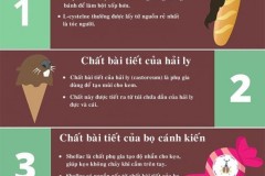 Lông chuột, hắc ín trong những thực phẩm hàng ngày