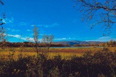 Mùa thu sớm trong rừng Na Uy