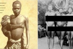 Nhốt người vào chuồng khỉ để triển lãm như súc vật, đó là cách người ta áp dụng thuyết tiến hóa vào đời sống hồi đầu thế kỷ 20