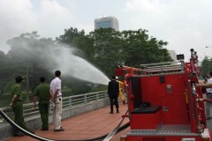 Phát hiện Cầy giông sọc được cho là đã tuyệt chủng