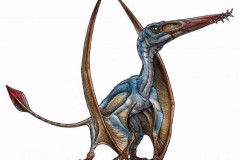 Phát hiện loài thằn lằn bay mới ở Patagonia