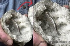 Phát hiện lý thú: Thanh đinh ốc hàng triệu năm tuổi nằm trong đá?