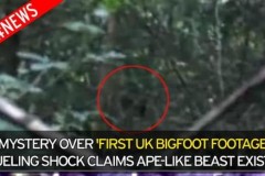 Phát hiện quái vật Bigfoot to lớn trong rừng gây sốc?