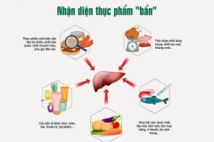 Thực phẩm bẩn gây nhiễm độc, phá nát lá gan thế nào?