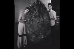 Ý tưởng biến mỗi người sau khi chết… thành 1 gốc cây