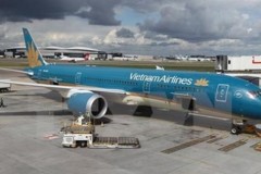 Chim va vào động cơ Dreamliner của Vietnam Airlines