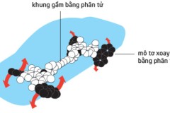 Giải thích Nobel Hóa học 2016 với 500 từ: lắp ráp xe đồ chơi chạy được bằng các phân tử