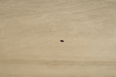 [VIDEO] Siêu xe Acura NSX "trổ tài vẽ tranh", hoàn thành bức họa dài hơn 914 mét