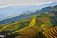 Chinh phục mùa vàng Mù Cang Chải với Vespa ABS