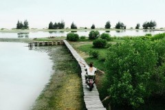 Ngẫu hứng cùng bộ hình của Team Pông Chuẩn trong cuộc thi Vespa Top Stylist Contest