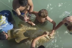 Họ cùng nhau đi câu cá, khi kéo lên là một con cá lớn…