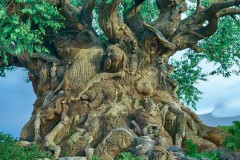 Tất cả mọi người đều bị sốc khi đến gần cái cây này