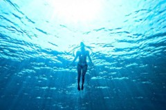 Bơi lội giúp não bộ khỏe mạnh và giảm căng thẳng, mệt mỏi