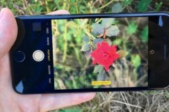 C&#225;ch c&#224;i iOS 10.1 beta 3, bổ sung t&#237;nh năng chụp ch&#226;n dung