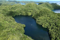 Cô gái lặn xuống hố sâu giữa biển phát hiện loài sứa đẹp như trong huyền thoại