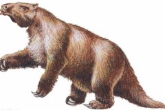 Con vật này sẽ khiến bạn bay đầu chỉ bằng một cú gạt tay