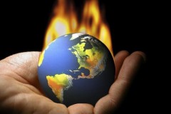 Giảm 70% lượng khí nhà kính chỉ bằng rong biển