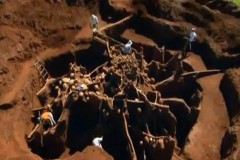 Kinh ngạc tổ kiến khổng lồ được ví như "Vạn lý trường thành"