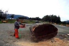 Người đàn ông ra biển nhặt được một khúc gỗ mục to, mang về nhà làm thành con thú đắt tiền