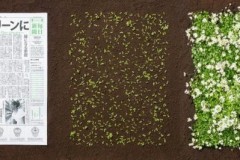 Những tờ báo in biến thành thảm hoa ở Nhật