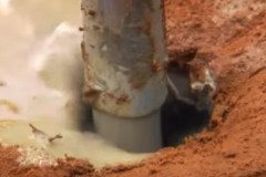 Phát hiện tổ kiến sâu 8m, như 1 thành phố ngầm, kết cấu phức tạp tinh xảo khó tin