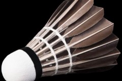 Quả cầu lông là một trong những tạo vật tinh tế nhất trên đời