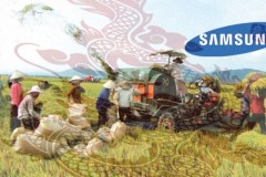 Samsung gi&#250;p người n&#244;ng d&#226;n Việt từ 'c&#225; ch&#233;p ho&#225;... rồng'!