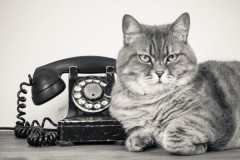 5 thí nghiệm rùng rợn nhất trong lịch sử khoa học thế giới