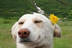 5 c&#225;ch thư gi&#227;n sau những giờ l&#224;m việc căng thẳng v&#224; mệt m&#245;i