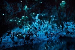 Hang đom đóm 30 triệu năm tuổi ở New Zealand