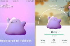Hàng loạt người chơi ở Mỹ và Australia khoe thành tích bắt được Pokemon Ditto