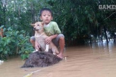 Hình ảnh cậu bé 6 tuổi dũng cảm bơi ra cứu chó giữa dòng nước lũ khiến người xem bật khóc