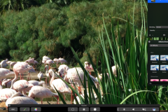 Làm thế nào để trải nghiệm Touch Bar trên MacBook thường