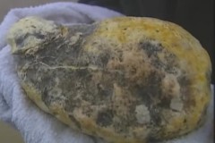 Ngư dân Oman tìm thấy long diên hương 80kg giá 3 triệu USD