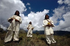 Tổng hợp tin tức hay nhất tuần 01/11