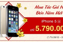 Mua táo giá hời - Đón năm mới