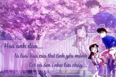 Shinichi: "Ran chỉ là giấc mơ còn Haibara mới là hiện thực"